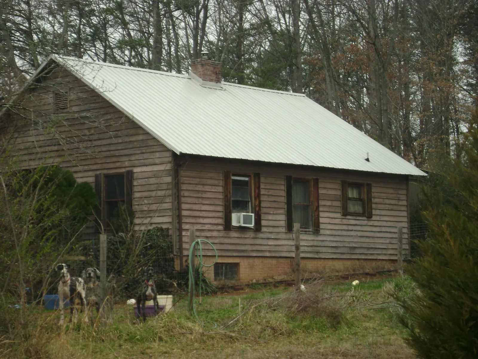 White metal roof on an old wood sided farmhouse, from a Asphalt Shingle Roof Repair job in Clearville
